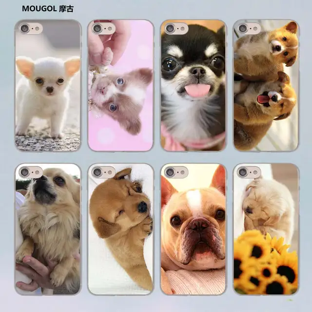 custodia iphone chihuahua custodia iphone chihuahua