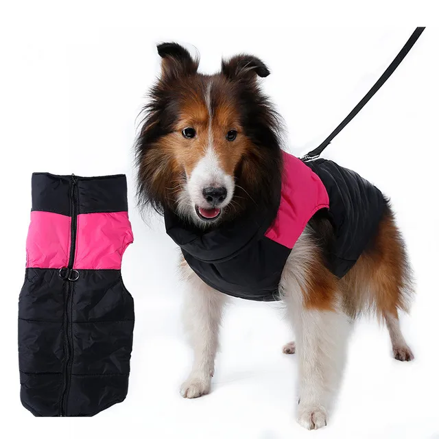 Small Dog Zip Up Jacket at Suzanne Bartz blog