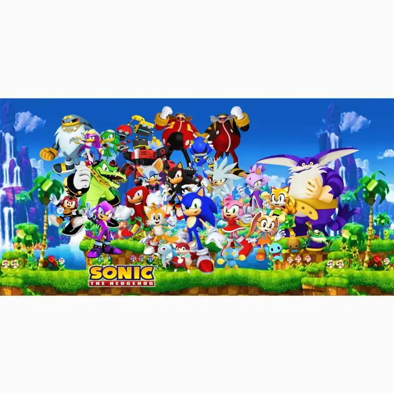 sonic the hedgehog hooded towel