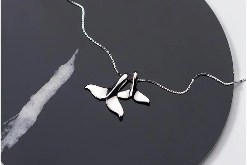 36020181120204210346