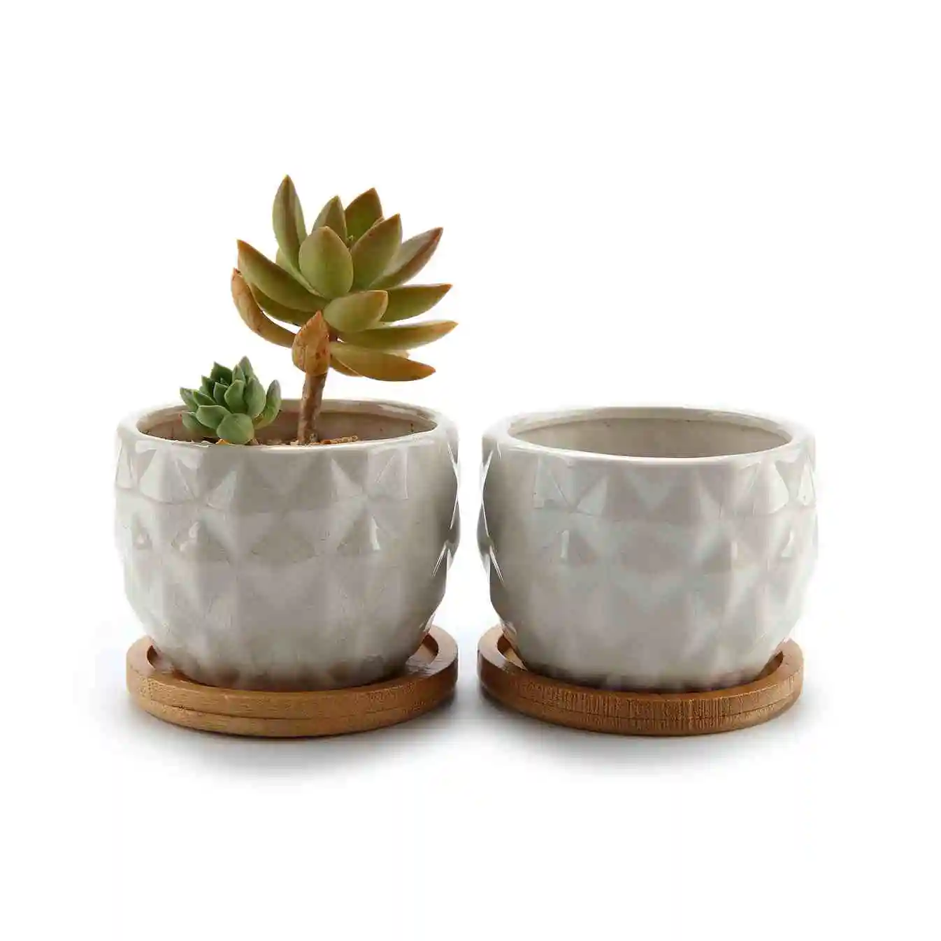 

T4U 3.25" Ceramic Pineapple Succulent Cactus Planter Pot Set with FREE Bamboo Trays White Pack of 2