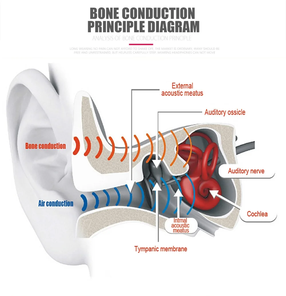 Новые LF-19 Bone беспроводные Bluetooth стерео гарнитуры BT 4,1 водонепроницаемые наушники с шейным ремешком костная проводимость Гарнитуры Hands-free