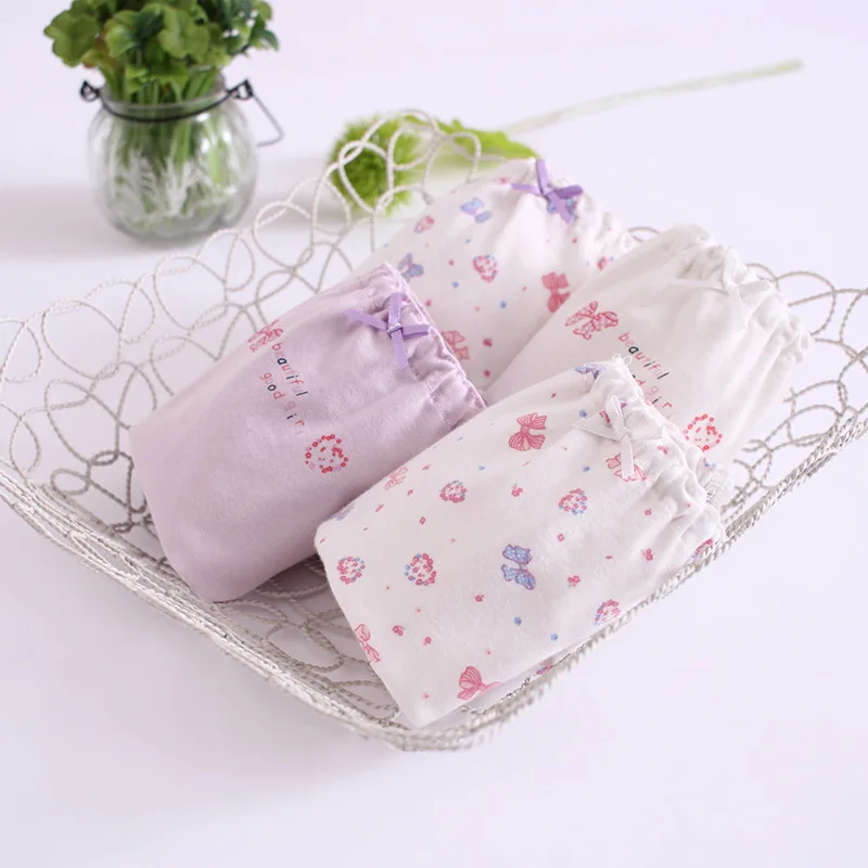 Child Girl Cotton Underwears Briefs 4pcs 4