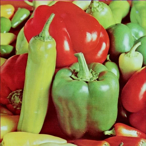 Rambos
