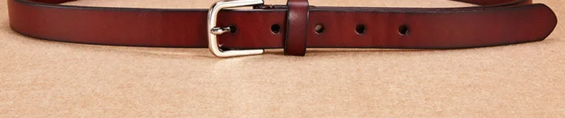 N17FJ262 (15)