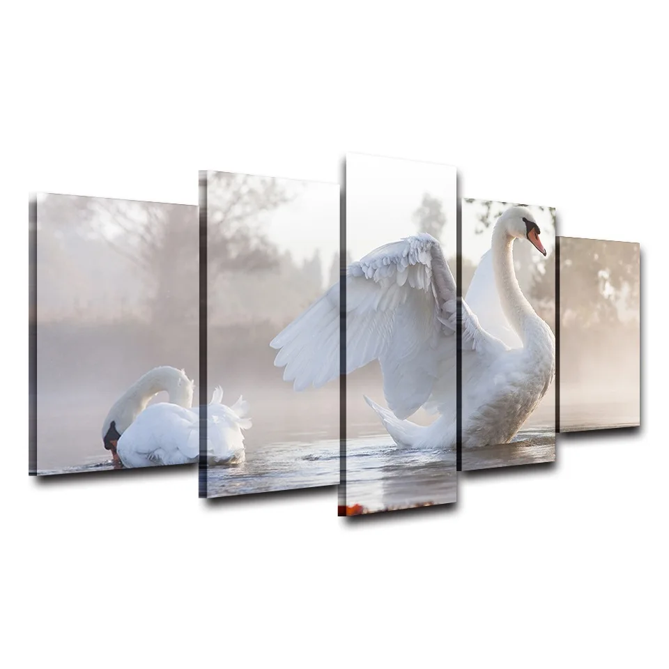 HTB1MMGPRpXXXXanXXXXq6xXFXXXu