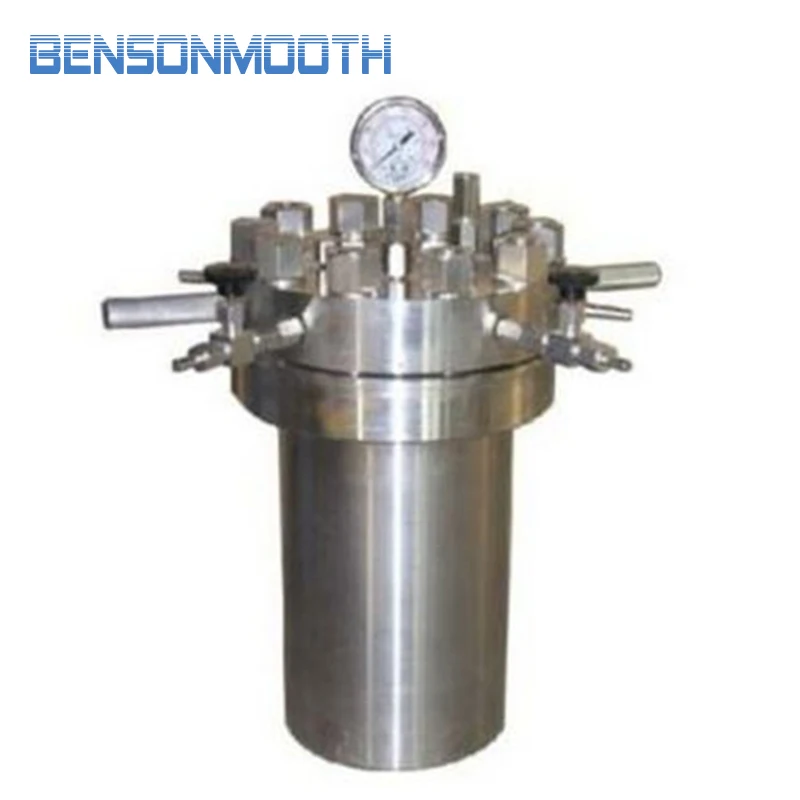 

Pressure Hydrothermal Autoclave Reactor 500ml 22Mpa 380