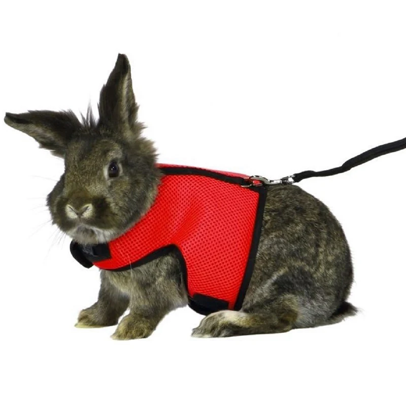 

1pcs Beathable Rabbit Duck Dog Harness With Leash 5 Color Puppy Cat Collar Pets Chest Strap Leash Set Pet Harnesses With Leash