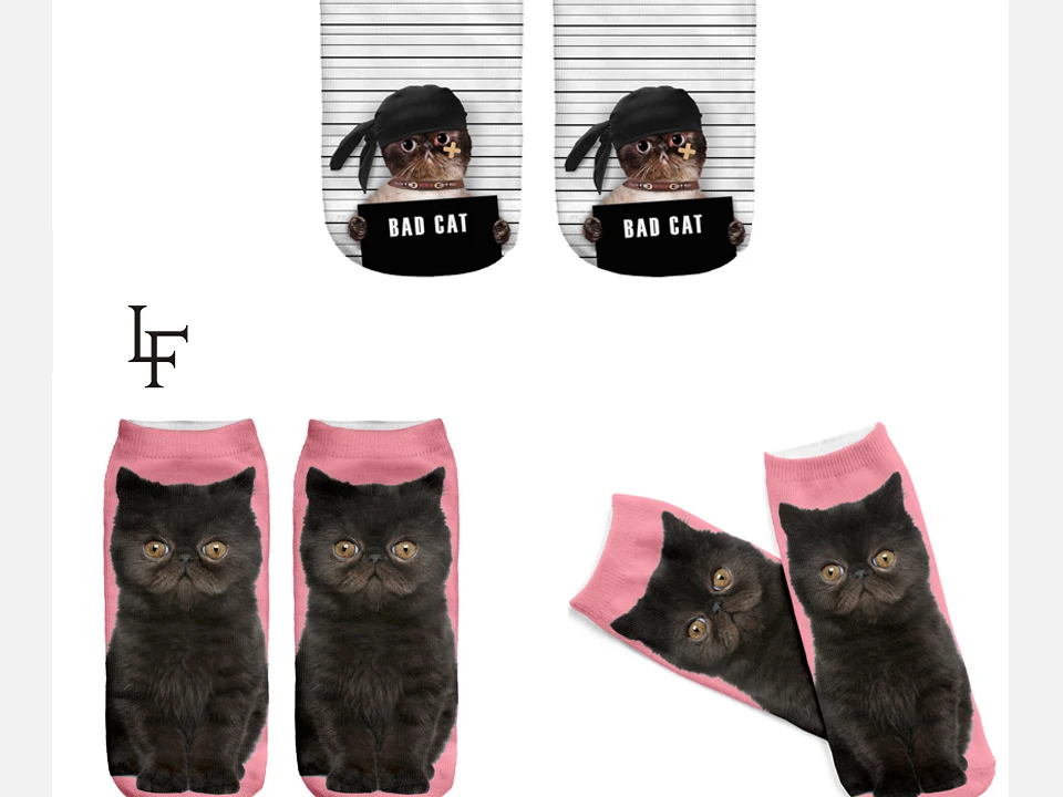 kitty_05