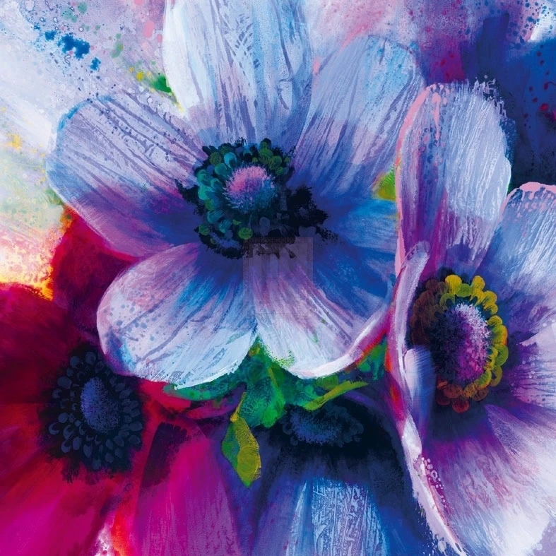 Floral Intensity IV Poster Print by Nick Vivian (20 x 20)