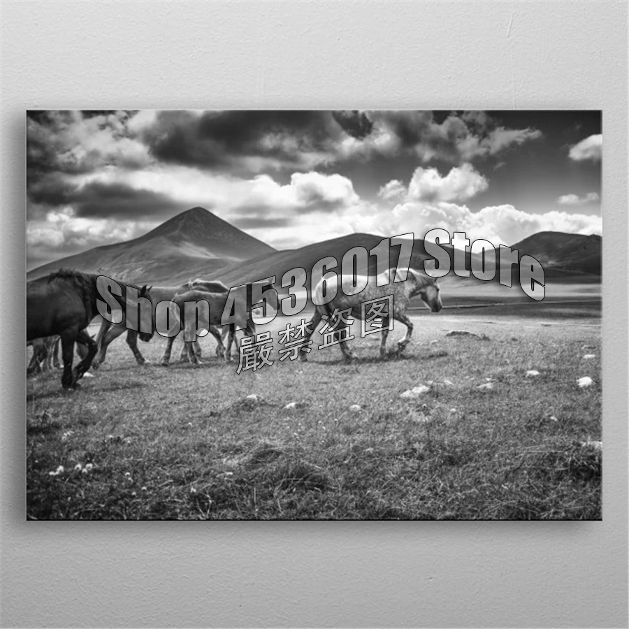 

Animals 5D DIY Diamond Painting Wld Horses Cross Stitch Needlework Full Rhinestone Mosaic Diamond Embroidery Crafts Home Decor