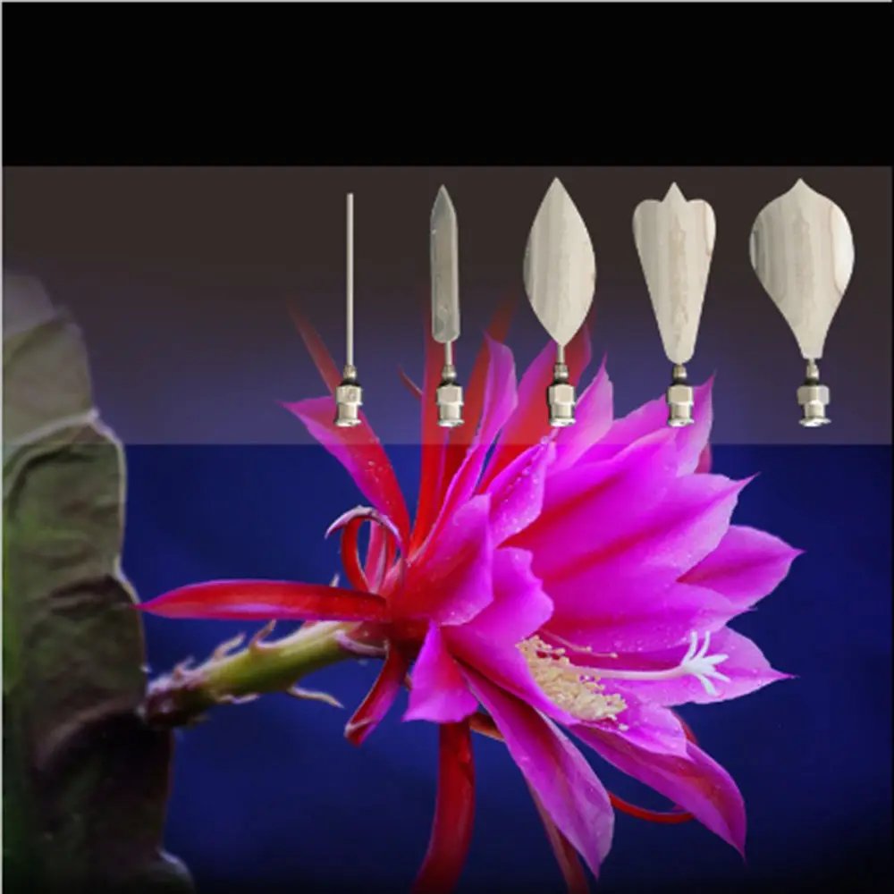 5PCS Flower 3D Jello Jelly Art Needles Tools Jelly Cake Gelatin Pudding Nozzles 5PCS Flower 3D Jello Jelly Art Needles Tools Jelly Cake Gelatin Pudding Nozzles