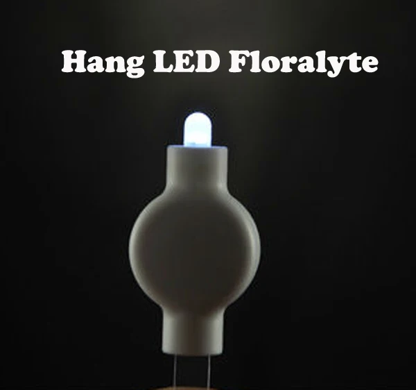 Новинка продаж украшения Замороженные lembrancinhas De Casamento 10 шт./лот led висит floralyte Бумага Фонари свет