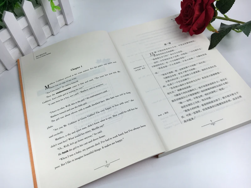 Анн из green gables двуязычный китайский и английский знаменитый во всем мире новый