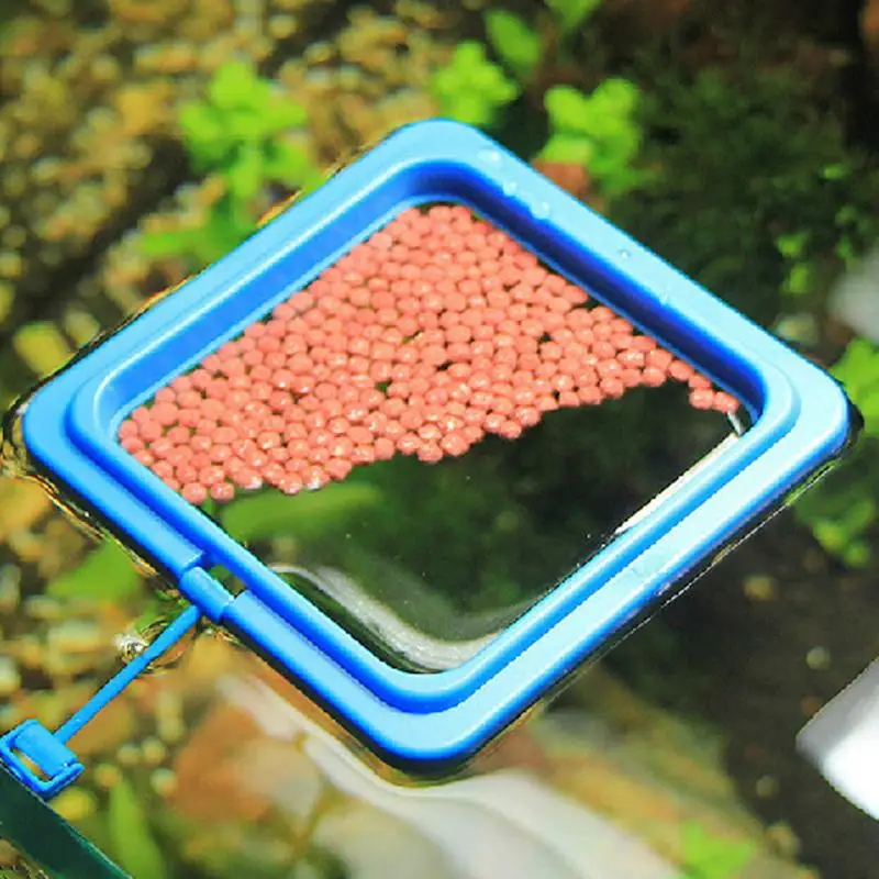 

Aquarium Feeder Prevent Feed Floating Everywhere Fish Food Ring Aquarium Fish Tank Mariculturists Fishes Feed Feeding Ring