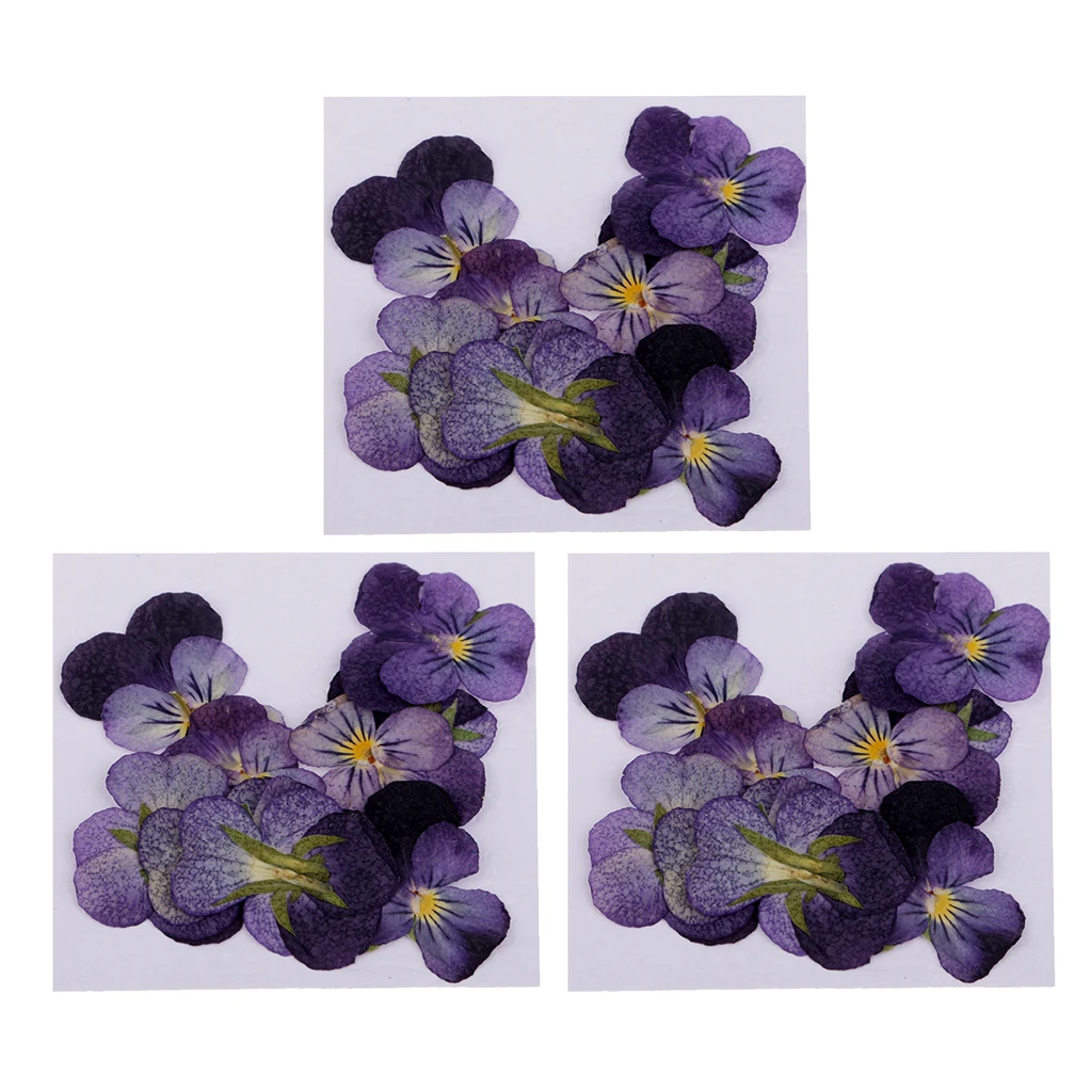 36 Pieces Natural Pressed Real Flower Violet Flower Dried Flowers for DIY Pendant Jewelry Making Crafts