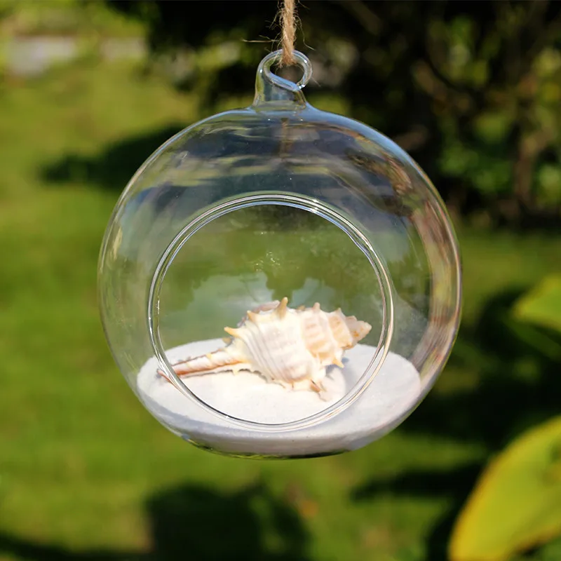 Betty Store Diameter = 8cm 100pcs/pack Transparent Glass Terrarium