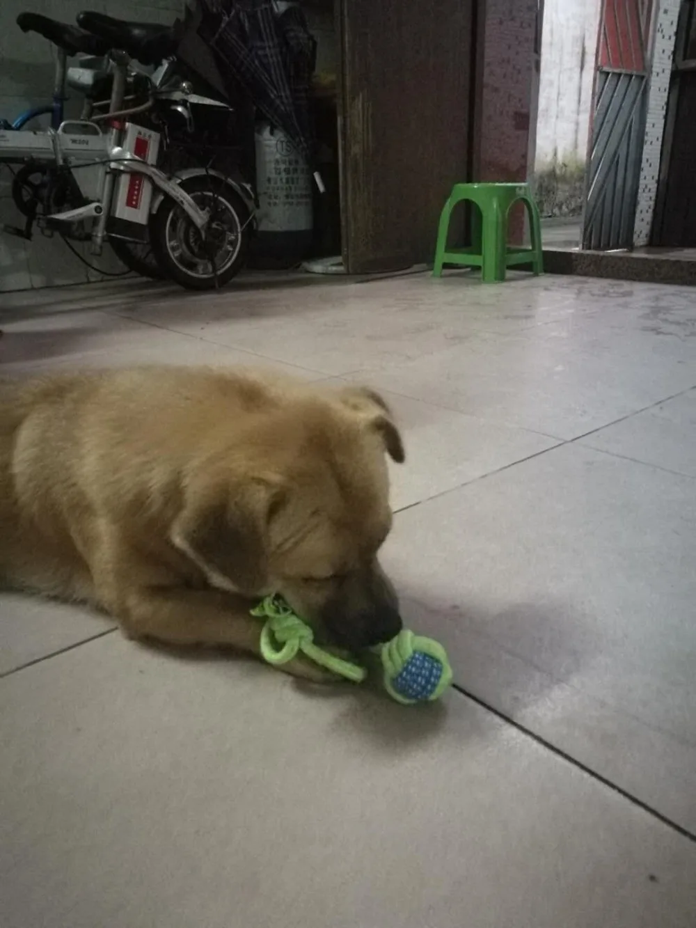 微信图片_20190612212316