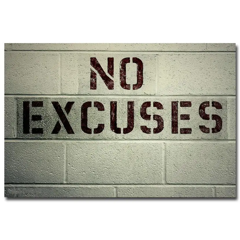 NO EXCUSES Motivational Quotes Silk Fabric Poster Print 13x24 24x43