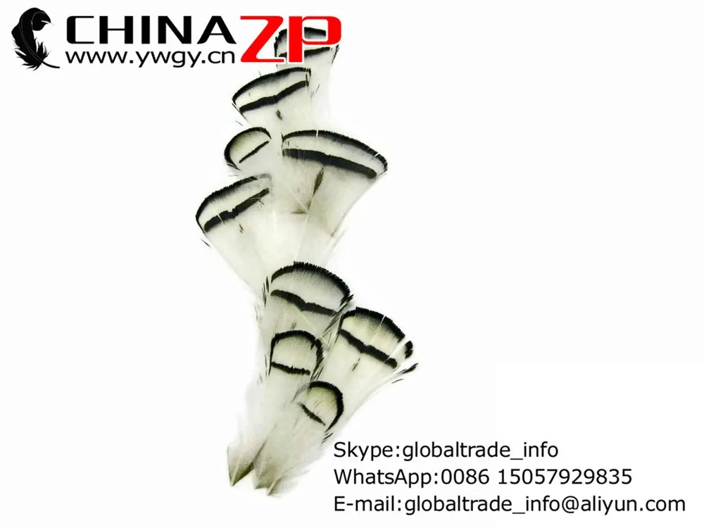 White Pheasant Feathers, 1 Dozen - NATURAL WHITE Lady Amherst Pheasant tippet Feathers3