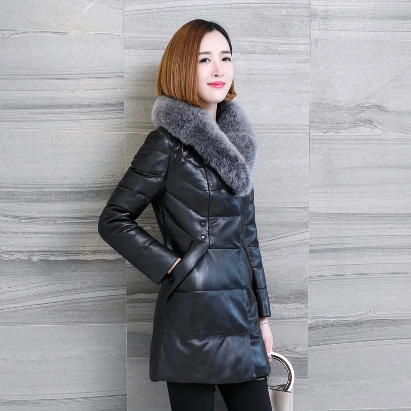 LF4260 (6)
