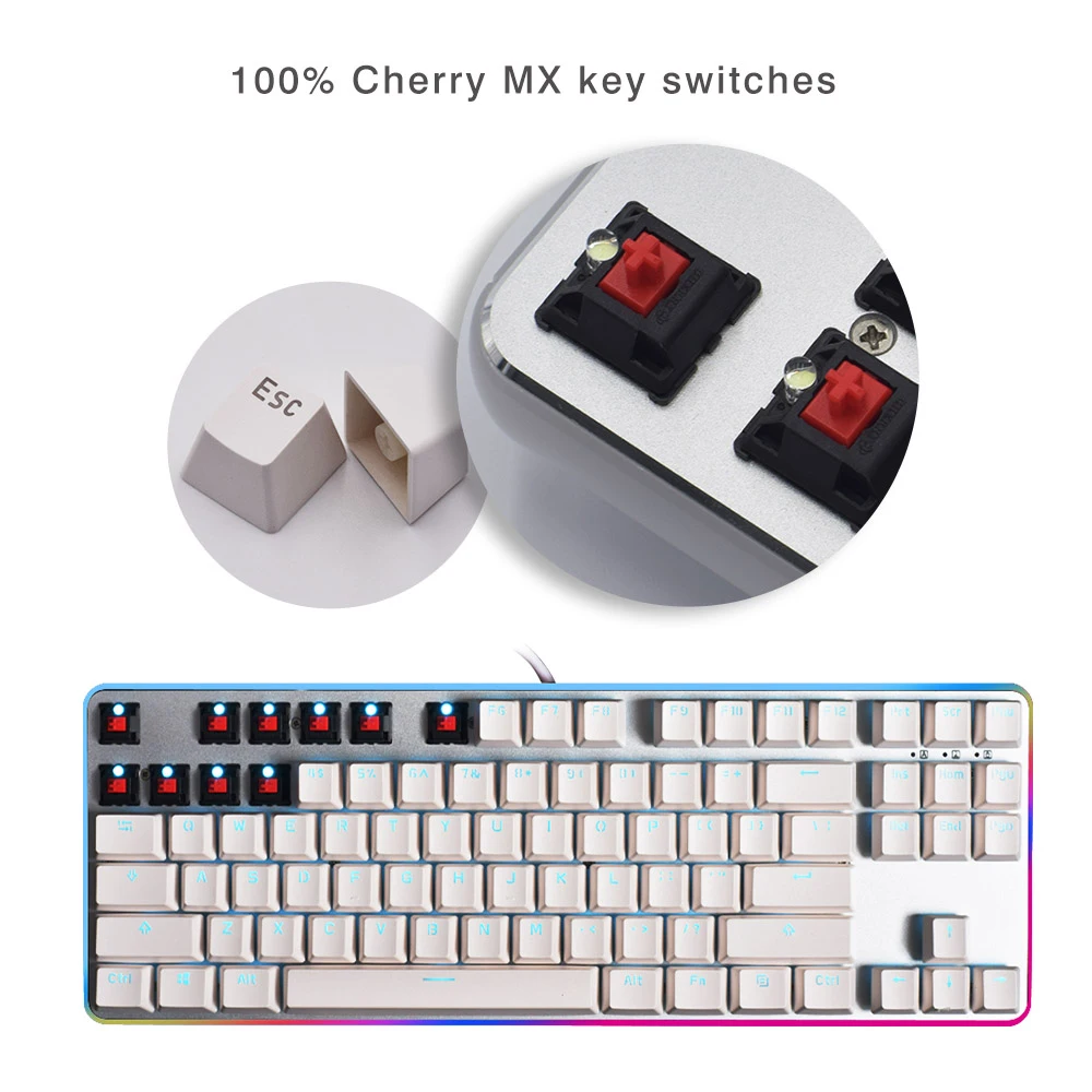 

GANSS 87 Keys Rainbow RGB Backlit Wired Mechanical Gaming Keyboard, Ganss G.S 87 PRO [Cherry MX - SILENT RED Switch]
