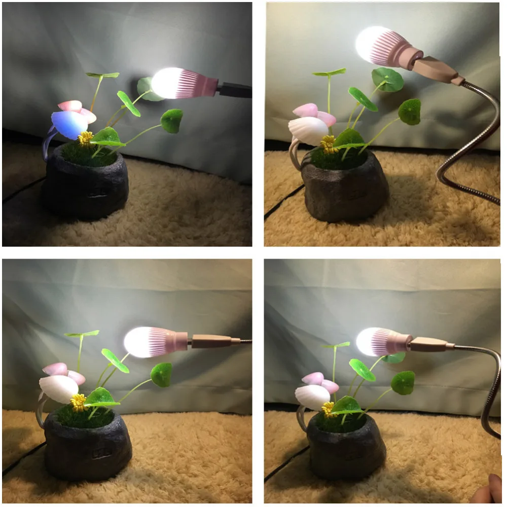 3183349074_721131381