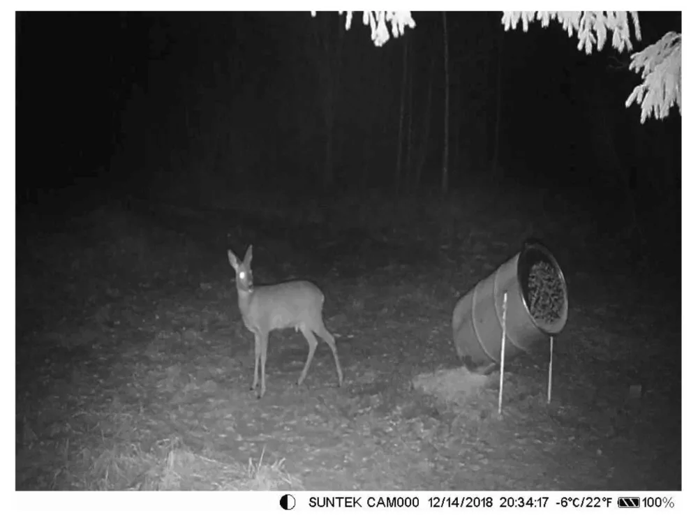 Охота Trail камера SUNTEKCAM HC-800M дикой природы 2 г MMS фото ловушка товары теле и видеонаблюдения 16MP цифровой ночное видение животного водонепрони