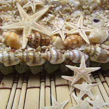 20 шт. натуральная морская звезда Желая бутылка Морская звезда DIY наклейки на стену материал украшения 1,5-2,5 см натуральная морская звезда