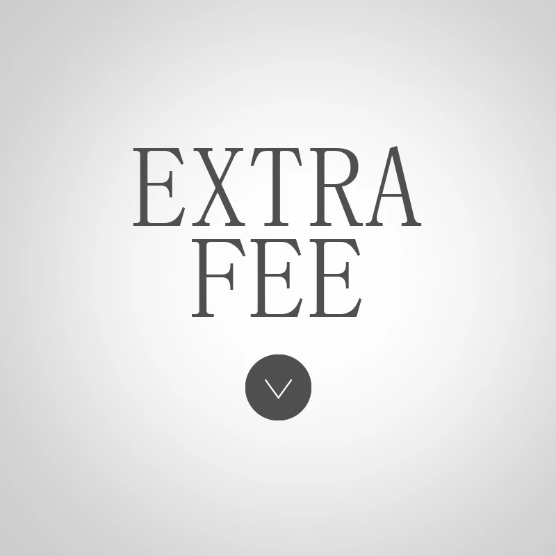 

Item Type Extra Fee, Additional Pay on Your Order or for the costs of Shipping or Extra Fee