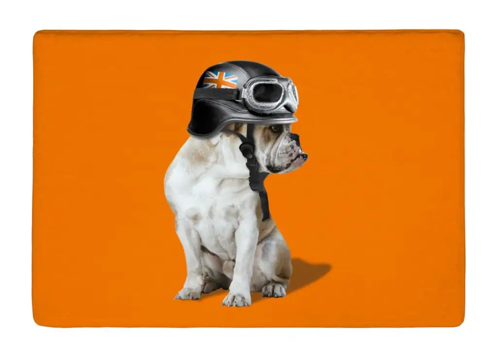 Floor Mat Orange Cute french Bulldog with Hat Print Non slip Rugs Carpets alfombra For font