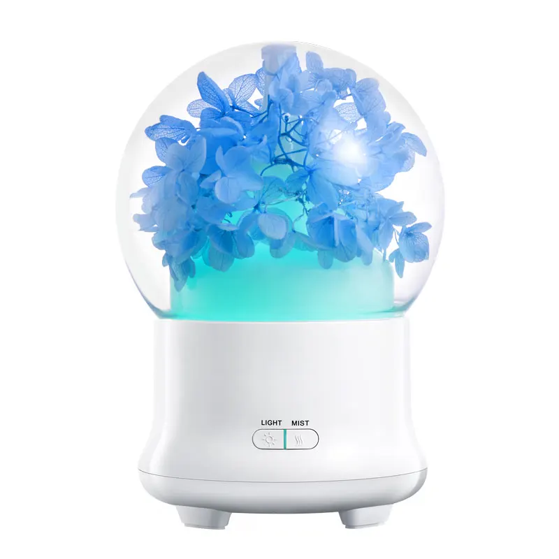 air humidifier (13)