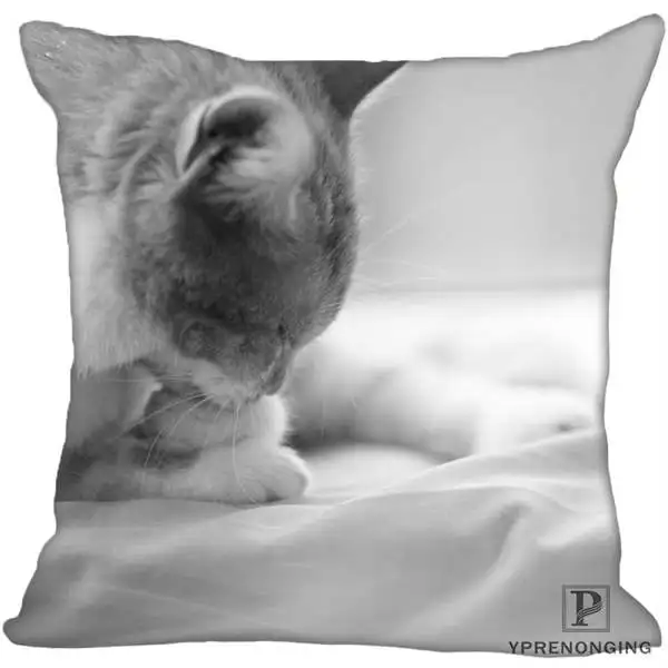 Square Pillowcases Custom Decorative Pillowcase Cats Kitten Rain Square Zippered Pillow Cover(One Side)80527-21-03 - Цвет: Square Pillowcases