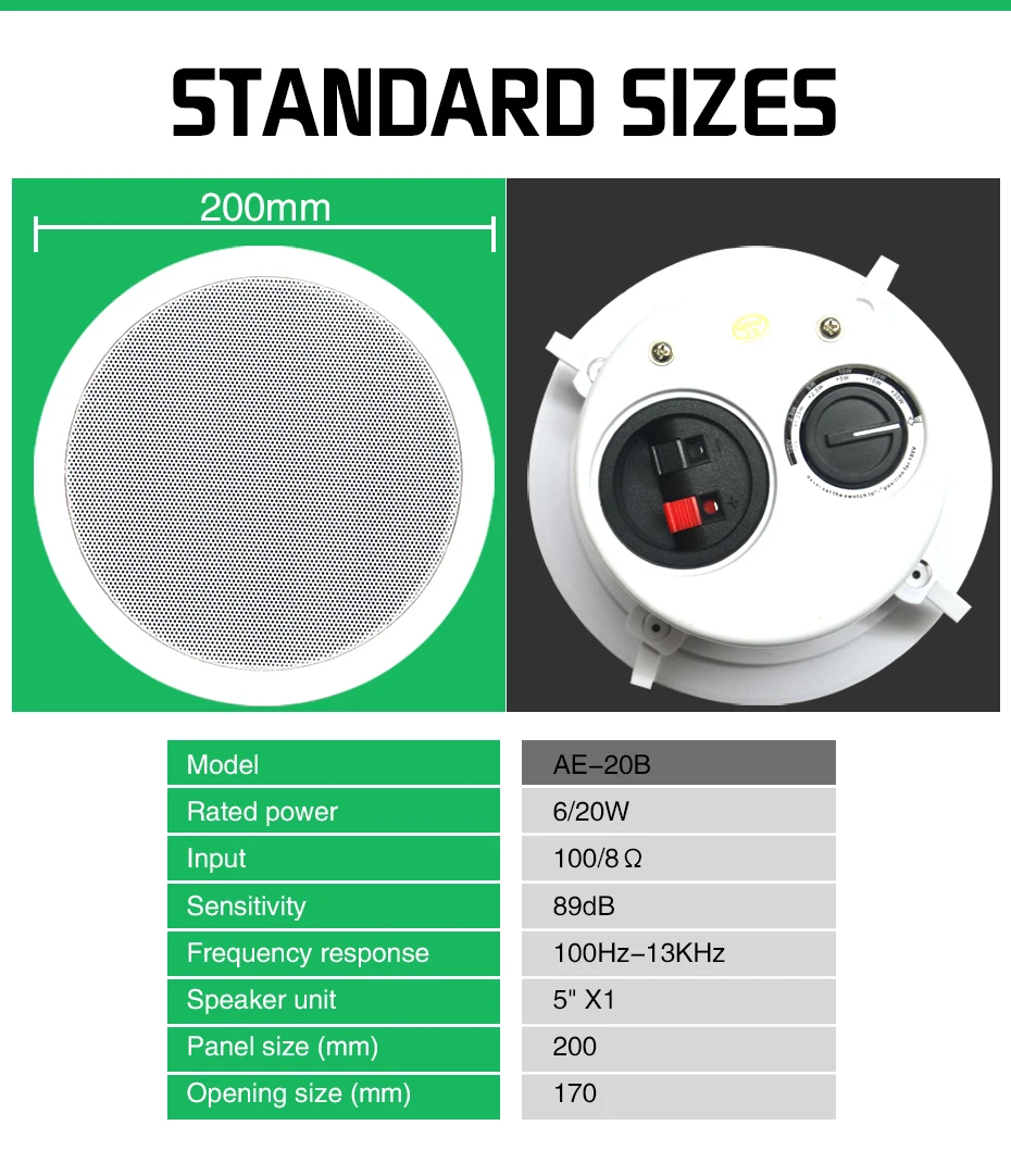 ceiling speaker (8)