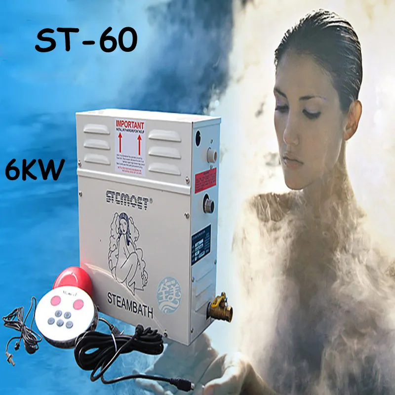 Buy 6KW Steam Generator Household Steaming Sauna Room