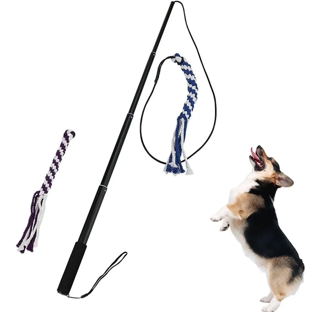 Buy Extendable Dog Cat Teaser Flexible Dog Teasing