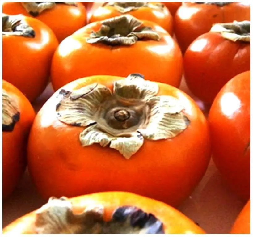 

Japanese Persimmon Fruit Tree - Diospyros kaki - Combined garden decoration 30pcs