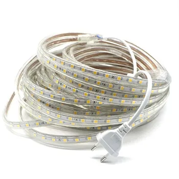 

SMD 5050 Flexible LED Strip light AC220V 60leds/m Waterproof IP67 Led Tape Light With EU Power Plug 1M/3M/5M/8M/9M/10M/15M/20M