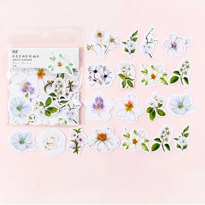 45 шт./пакет красивые цветы растения студент мини бумажный стикер сумка посылка DIY дневник декоративные наклейки альбом для скрапбукинга - Цвет: 8