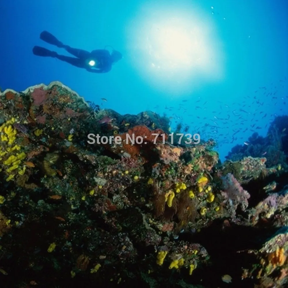 L2 LED diving flashlight (8)