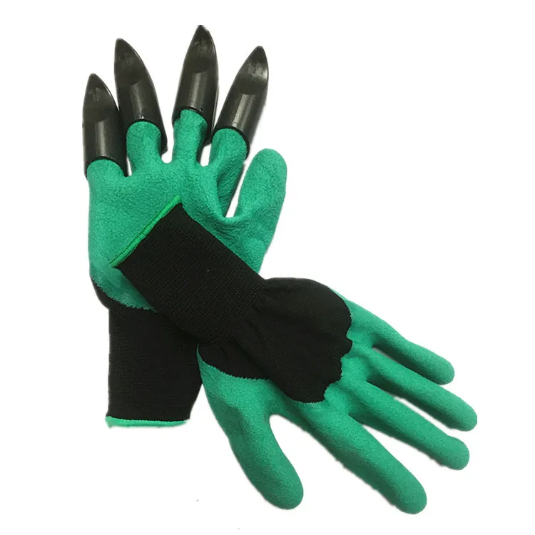 4138501507_701585404