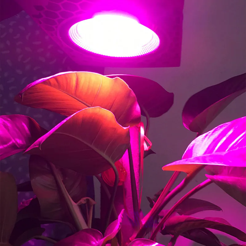 

Plant Growth Light Honeycomb Heat Dissipation LED Waterproof Full Spectrum Growth Lamp TN99