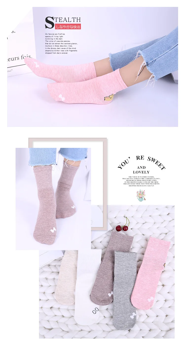 8577589623_259698019