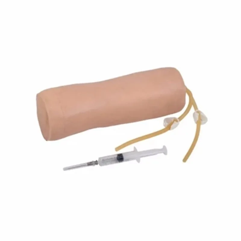 

Vivid IV Elbow Training Model,Elbow Venipuncture,Intravenous Infusion and Transfusion Training Model