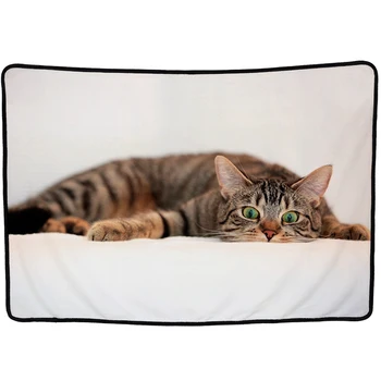 

EHOMEBUY 3D Blanket Rectangle Flannel Lovely Lying Cat 3D Printed Blankets Personalized Modern Quality Kids Adults Home Bed