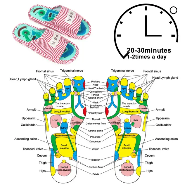 Acupressure Chart Feet