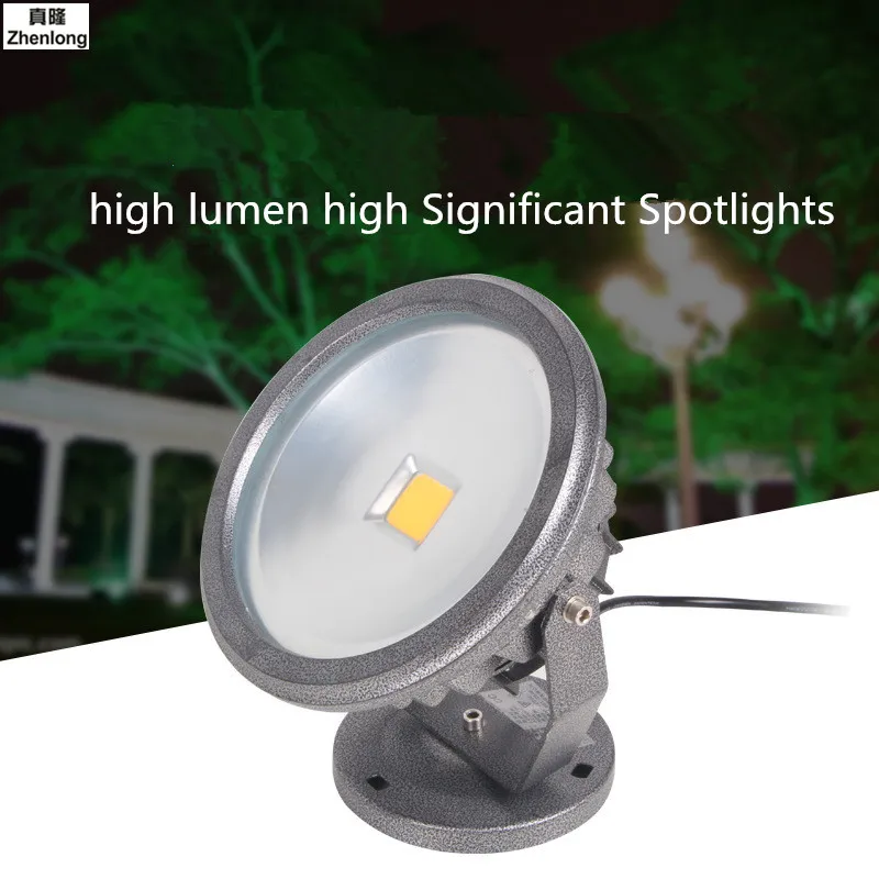 

Free Shipping 30w LED Flood Light Black Shell Led Outdoor Search Lamp Led Luminaire Light Led Spotlight AC220V IP65 Tree Lights