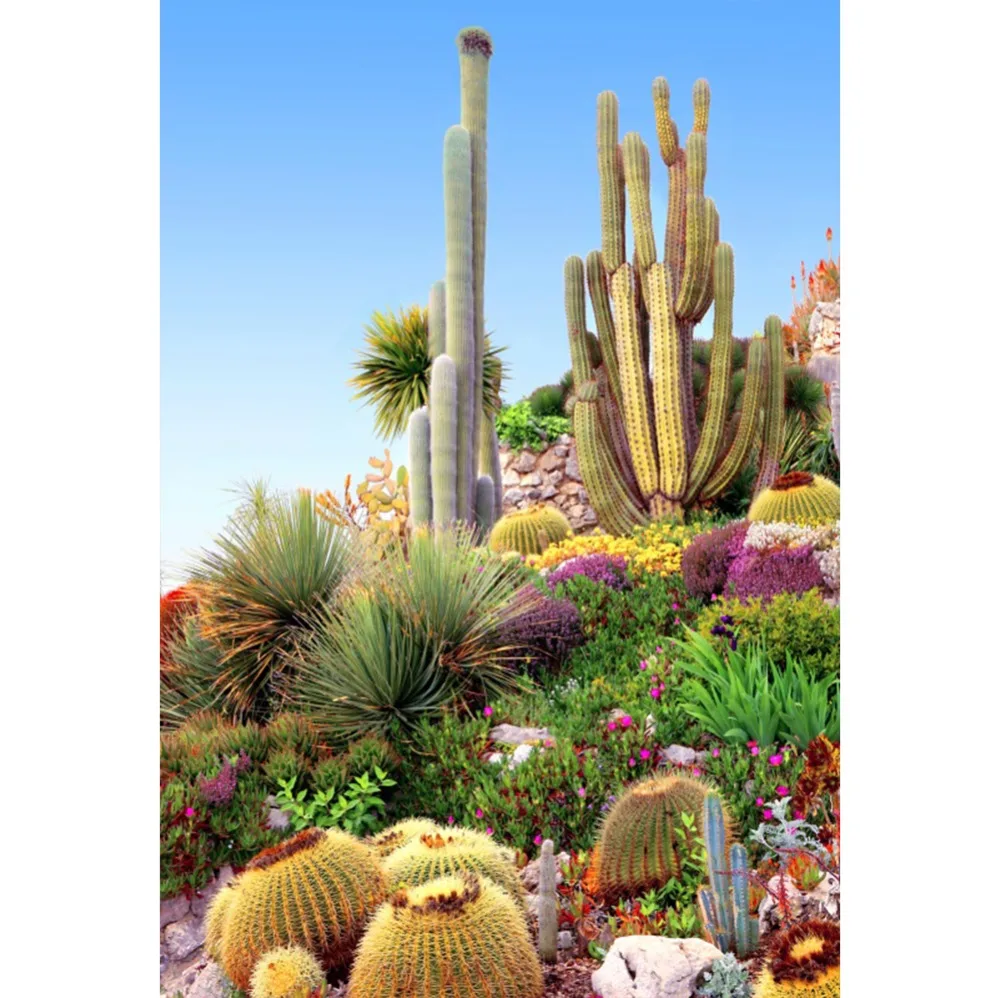 Laeacco Flowers Cactus Prickly Pear Baby Children Natural Scenic Photographic Backgrounds Photography Backdrops For Photo Studio |