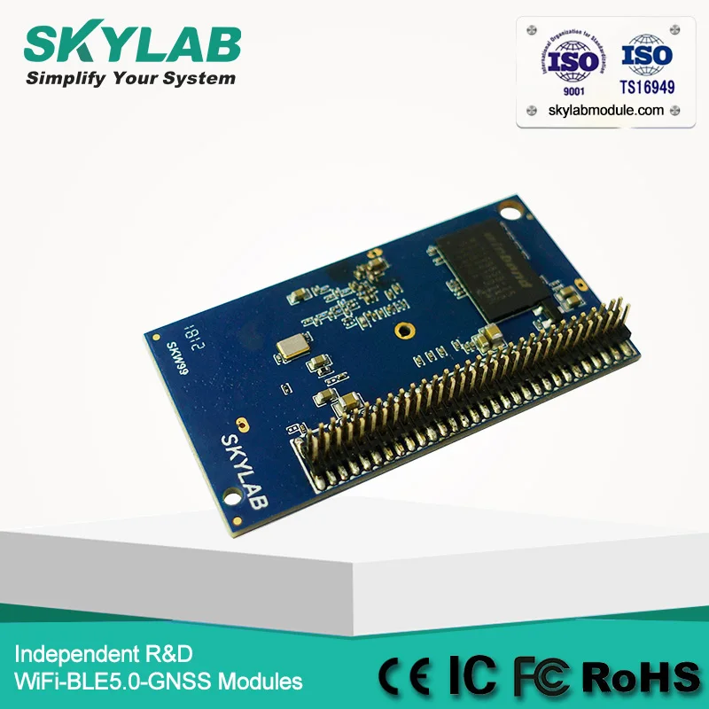 SKW99-SMT-03