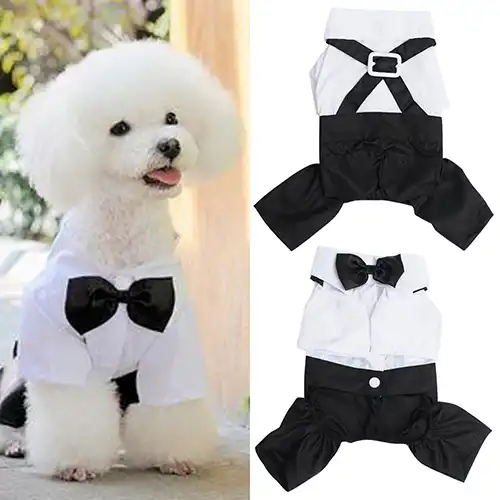 Cute Male Pet Dog Cat Clothes Pet Dog 